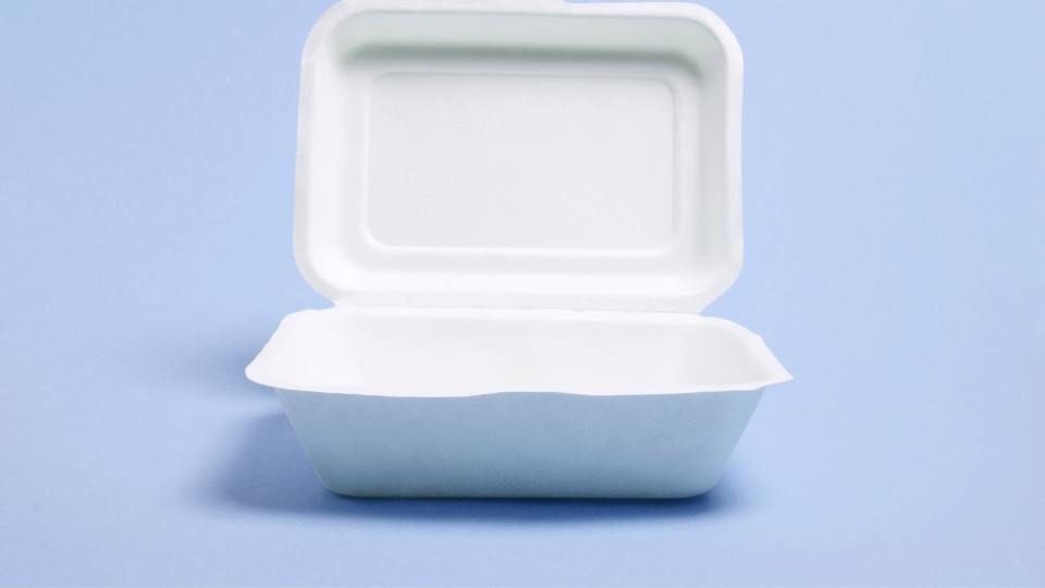 polystyrene container