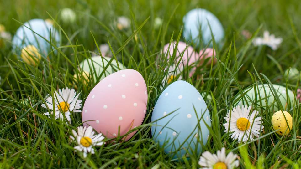 easter eggs on grass