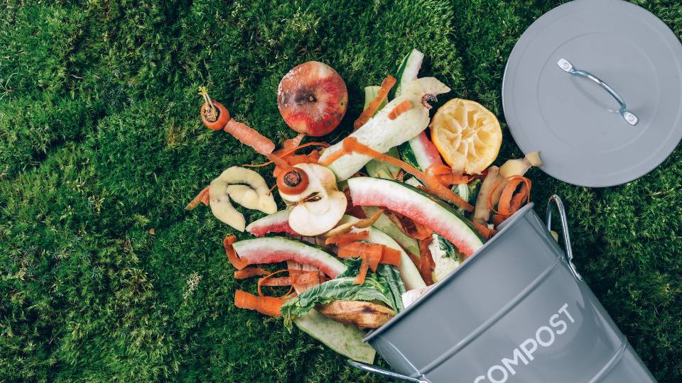 food waste for composting 