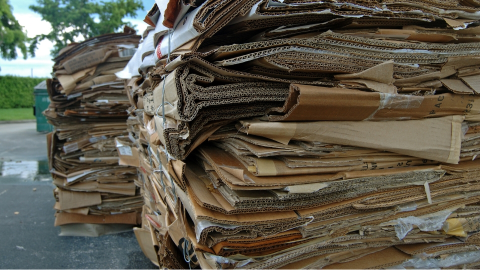 Can Cardboard Waste Go in a General Waste Bin? Waste Managed