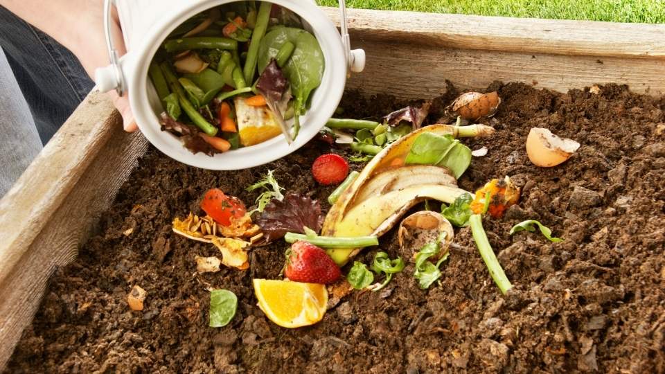 composting food waste