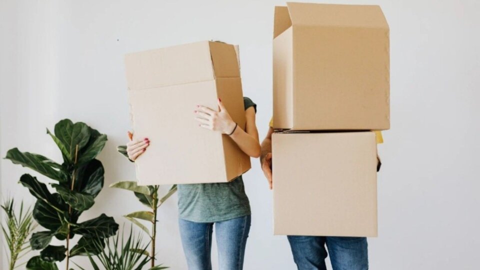 couple carrying cardboard boxes