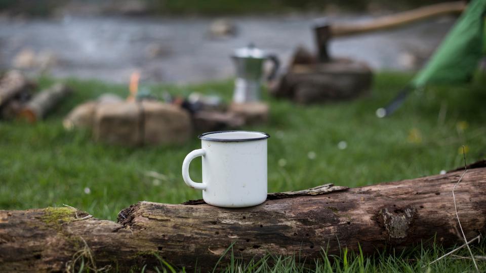 travel mug placed on log in a campsite 
