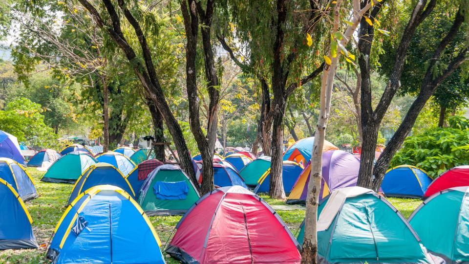 campsite with tents and trees