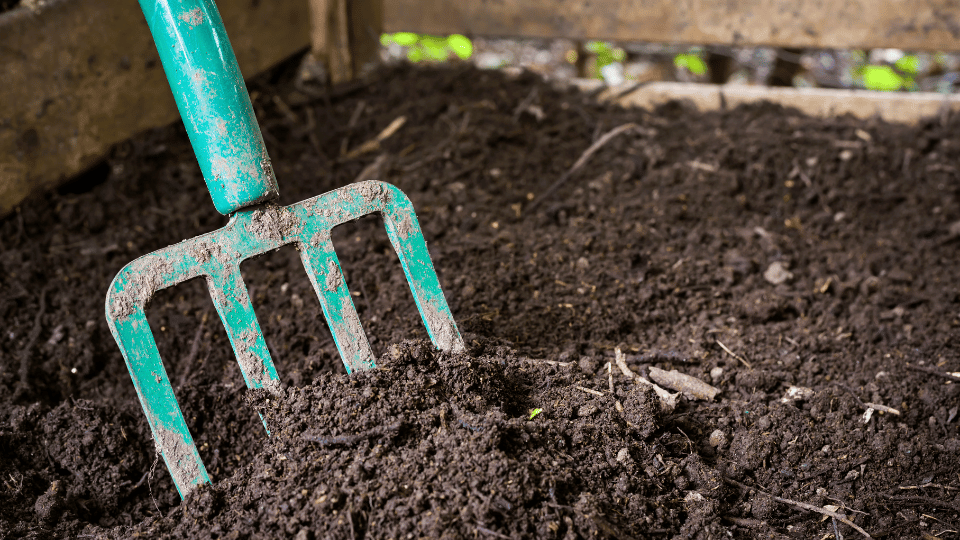 photo of a compost bin