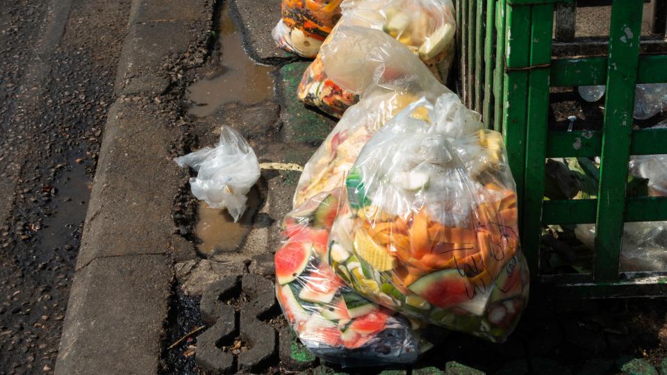 A photograph of lots of food waste in a clear biodegradable bag waiting to be collected by a waste collector 