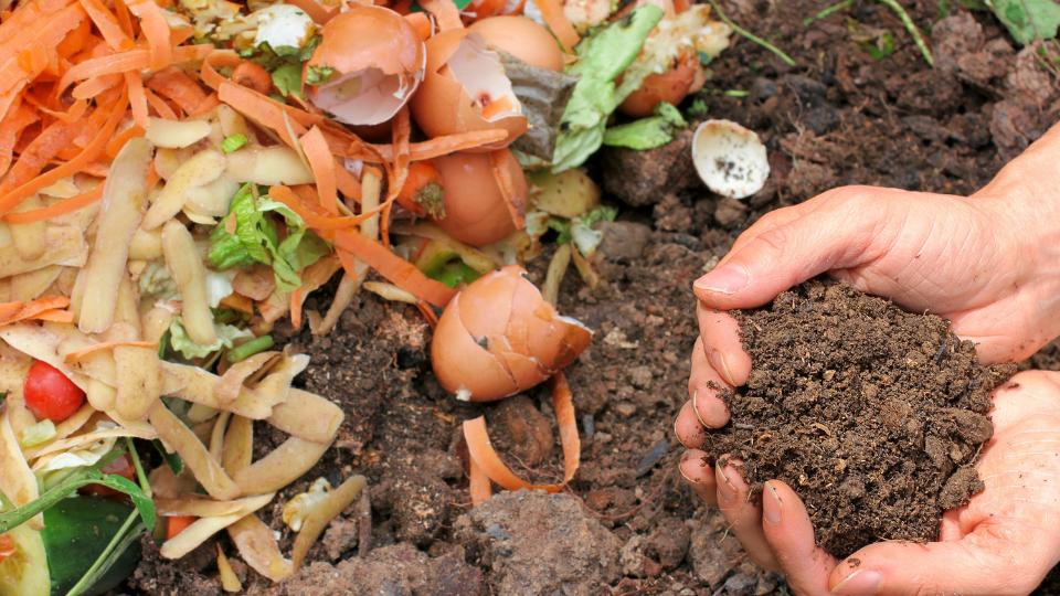 A photograph of someone composting their food waste. They are holding the soil in their hands.