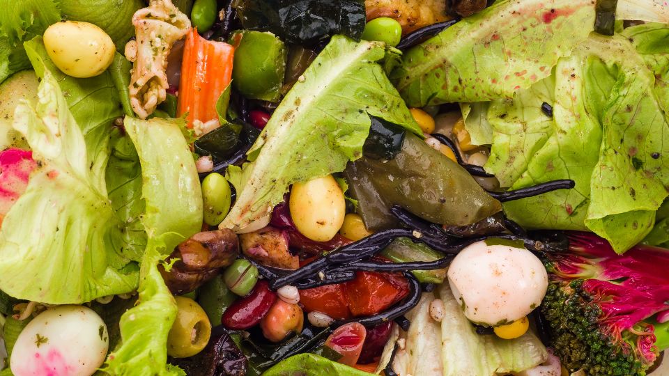 Photograph of food waste in a food waste bin