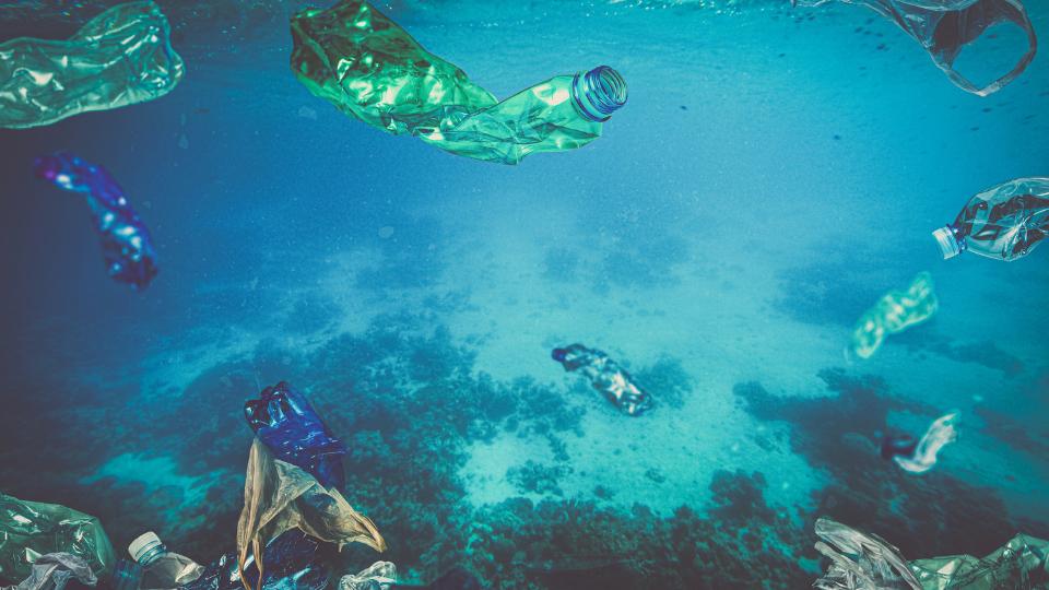 plastic waste floating in the ocean harming aquatic life
