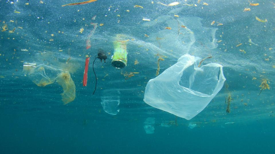 plastic waste floating in the ocean harming marine life