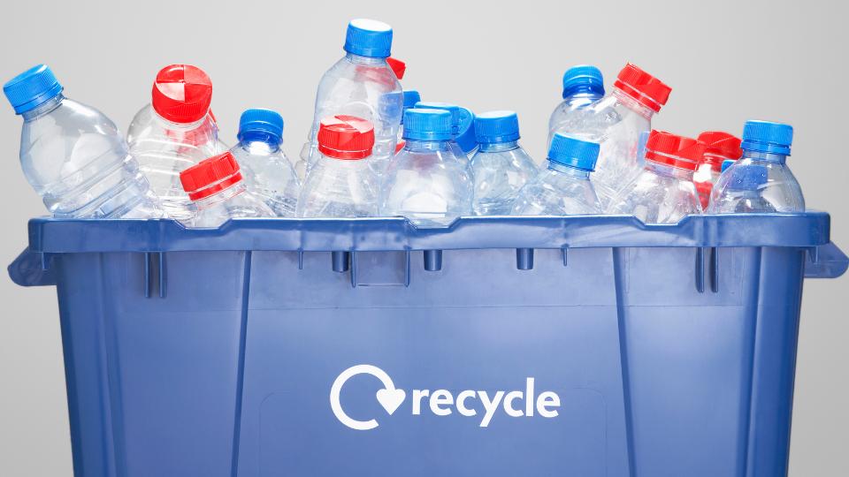 plastic bottles in a plastic recycling bin