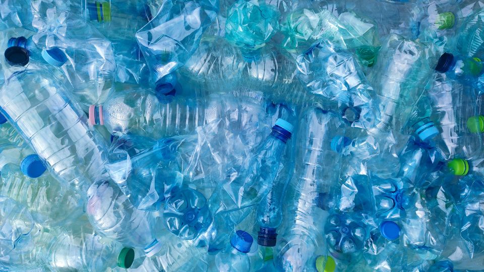 A photograph of recycled blue plastic bottles. 