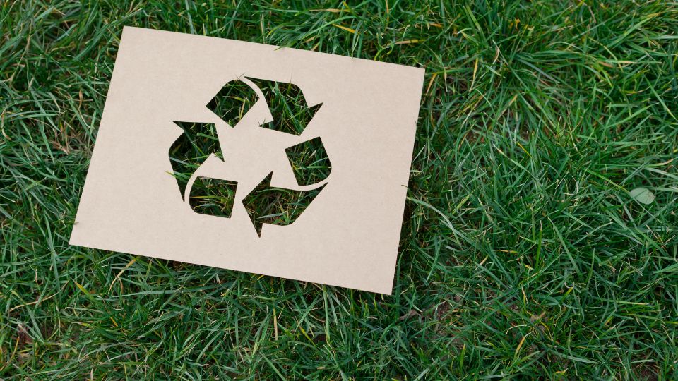 A photograph of piece of cardboard with the recycling logo cut out. Grass is peeking through.