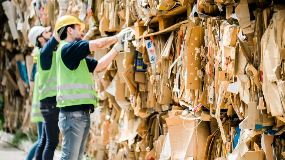 Two workers in hi vis sorting cardboard recycling