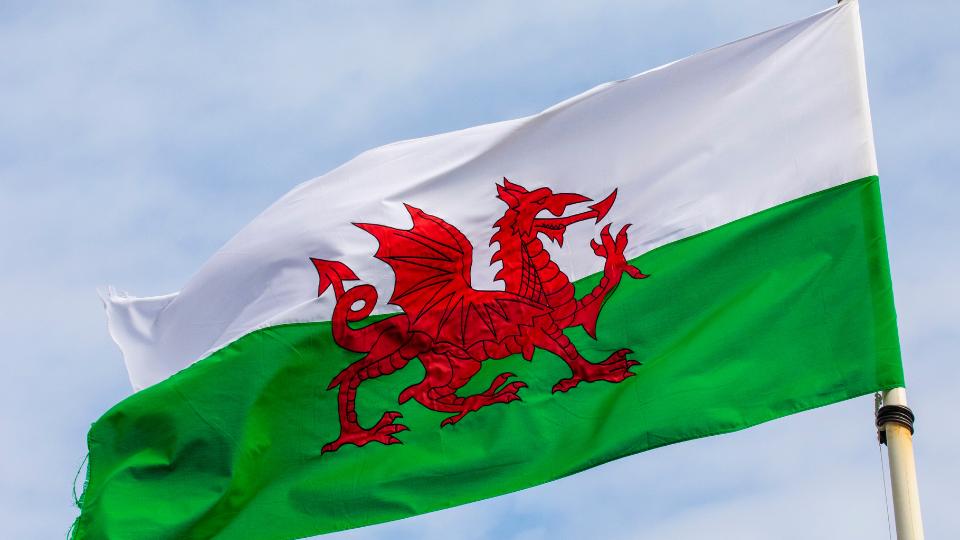 Welsh flag on a pole