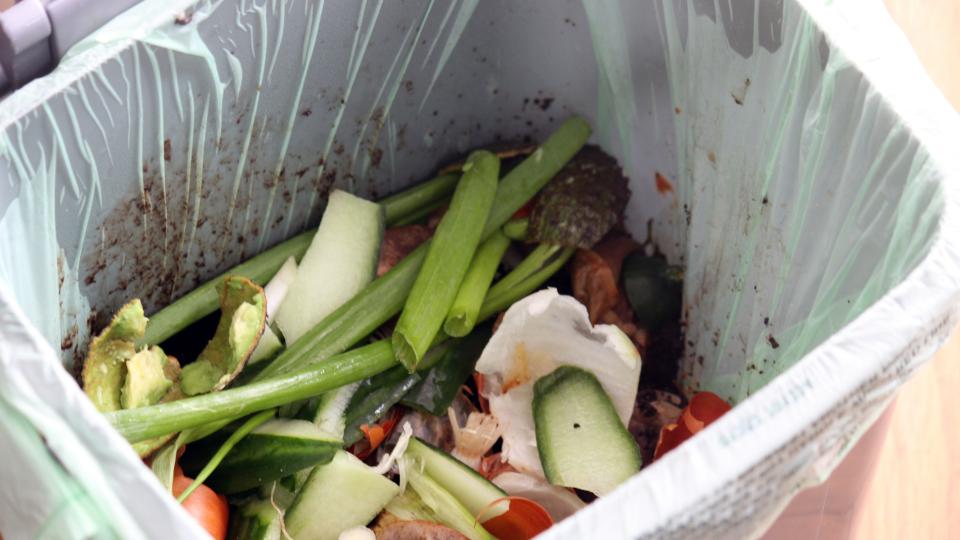 Food waste scraps in a clear bag in a bin