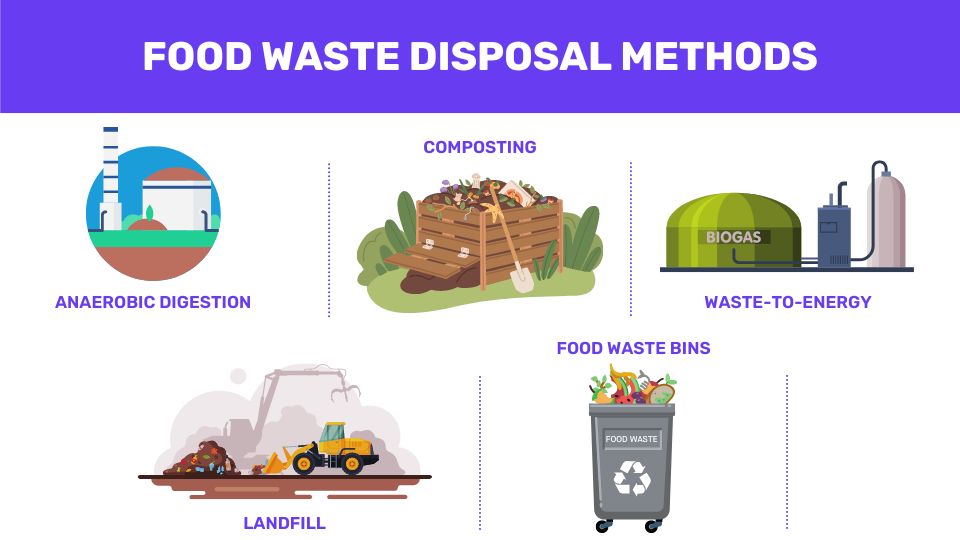 An infographic about food waste disposal methods including anaerobic digestion, composting, waste-to-energy, landfill and food waste bins