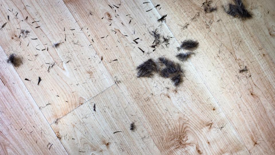 hair and beard clippings scattered on the floor