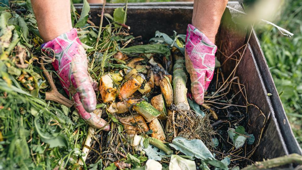 a business employee using a compost bin