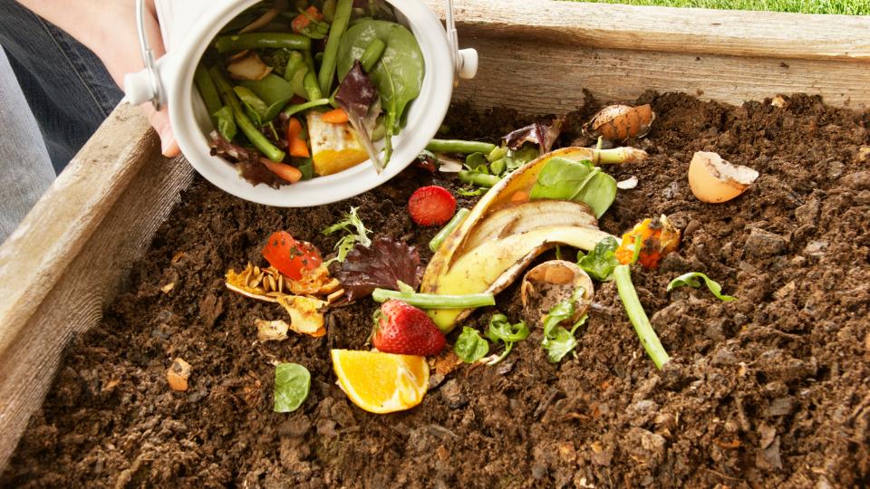 food waste going into a compost bin