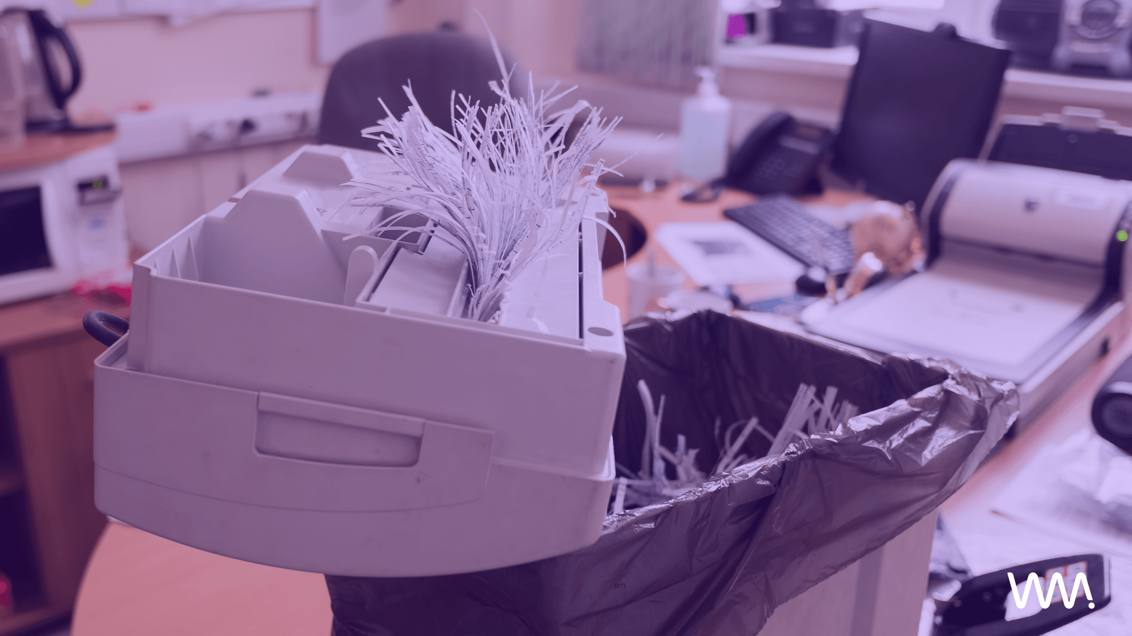 shredded office paper weight