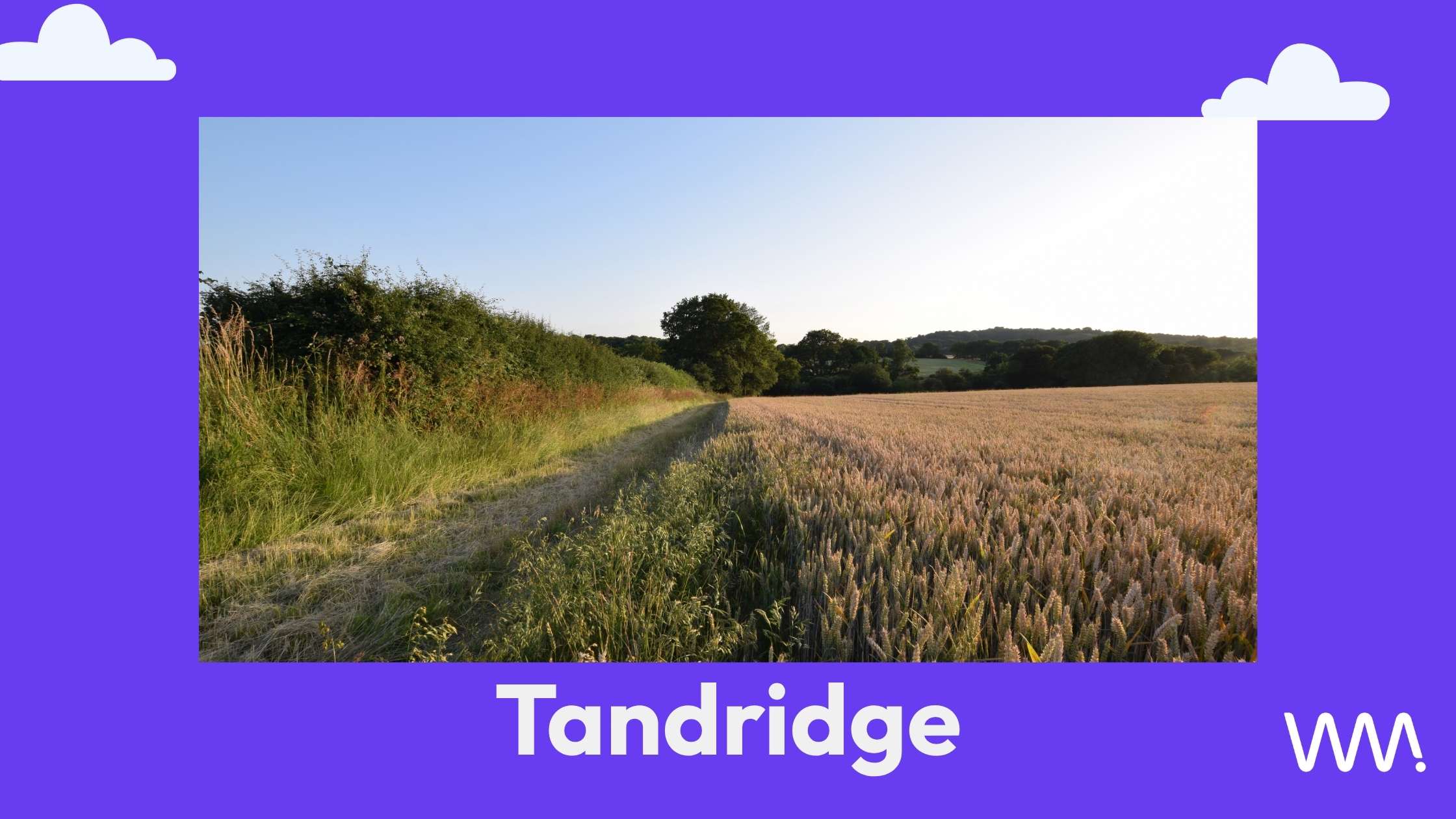 tandridge
